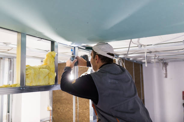 Professional Insulation Contractor in SD
