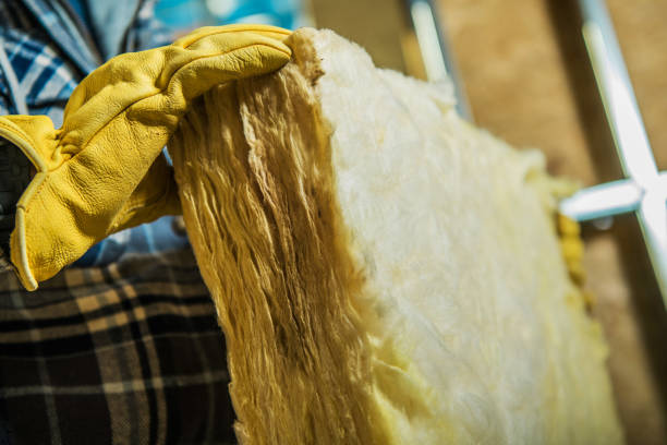 Best Insulation Installation Services in Kyle, SD