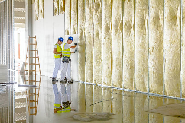 Best Residential Insulation in Kyle, SD